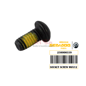 SOCKET SCREW
