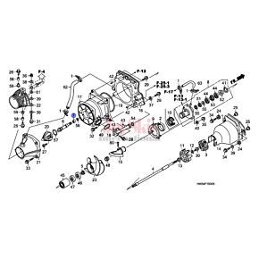 41162-hw5-900