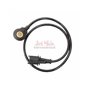 SEA DOO NOISE SENSOR
