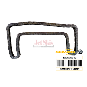 420898042 CAMSHAFT CHAIN