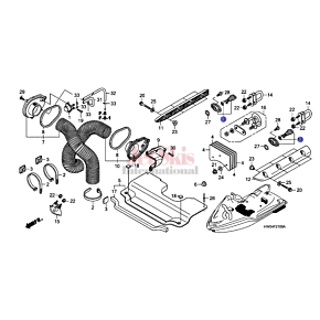 74810-HW1-730 Drain Plug Assembly Diagram