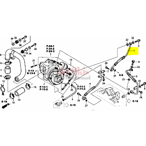 OEM Honda Oil Hose 15510-HW1-670