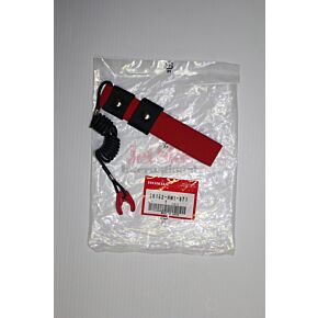  Lanyard 36182-HW1-671