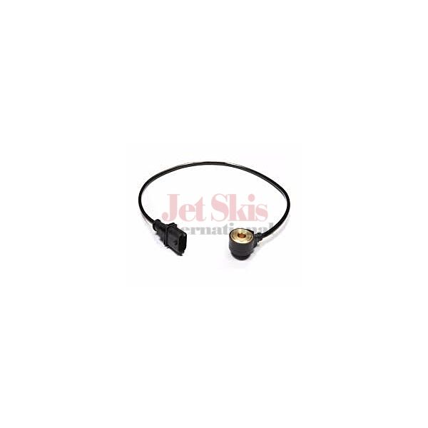SEA DOO 420664031 Noise Sensor | Jet Skis International